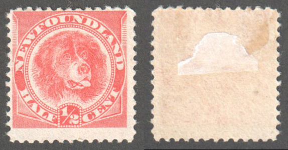 Newfoundland Scott 57 Mint F (P) - Click Image to Close